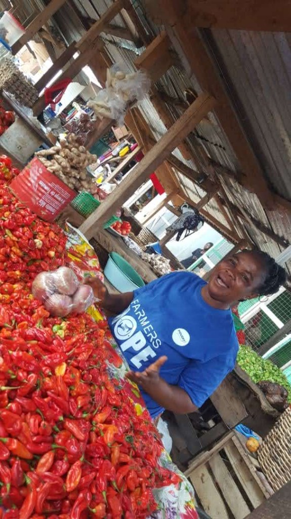 Farmers' Hope entrepreneur with fresh produce at market — Burkina Faso 2020